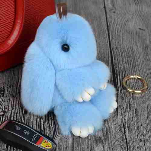 Cute Fluffy Bunny