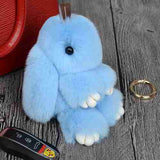 Cute Fluffy Bunny