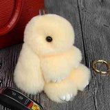Cute Fluffy Bunny