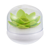 Lotus Toothpicks Holder