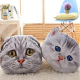 Cat Pillow