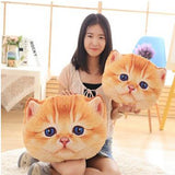 Cat Pillow
