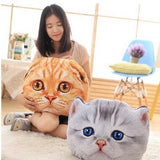 Cat Pillow