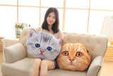 Cat Pillow