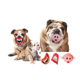 Chewing Toy