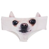 Chihuahua panties