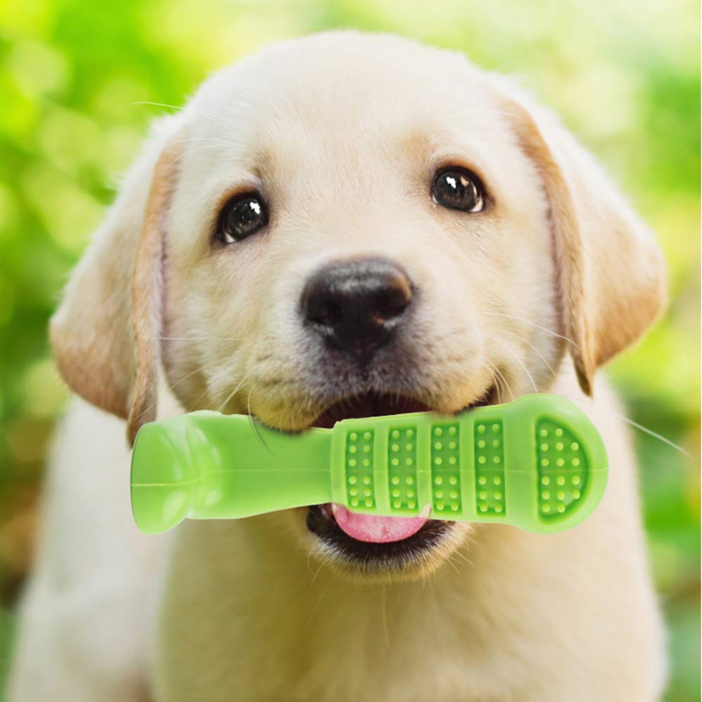 Indestructible Dog Toothbrush™