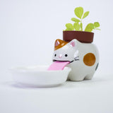 Drinking Animal Planter