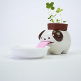 Drinking Animal Planter