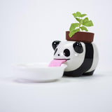 Drinking Animal Planter