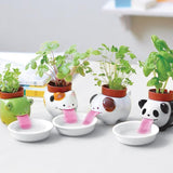 Drinking Animal Planter