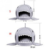 Shark Beds