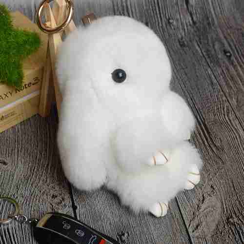 Cute Fluffy Bunny