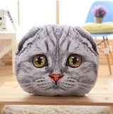 Cat Pillow