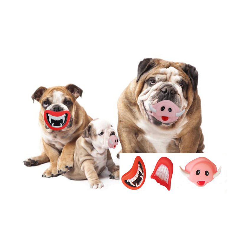 Chewing Toy
